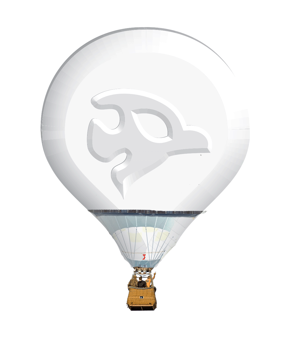 Shelton Cochran DESIGNs Branded hot-air ballon